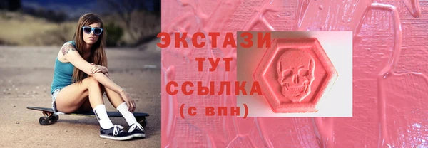 индика Горнозаводск