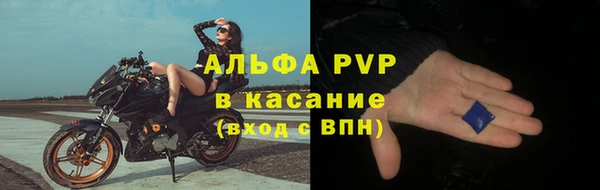 индика Горнозаводск