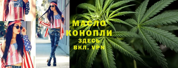 индика Горнозаводск