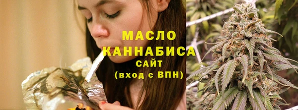 индика Горнозаводск