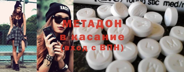 индика Горнозаводск